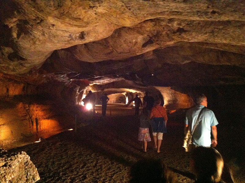 Cueva de la Font Major en L'Espluga de Francolí