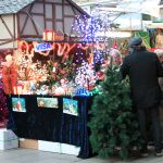 Puedes comprar el árbol de Navidad en Santa Llúcia