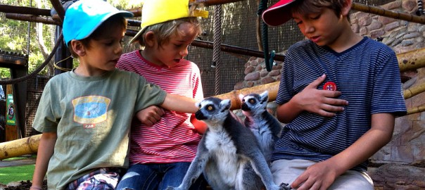 Acariciando lémures en MundoMar, Benidorm