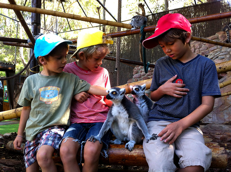 Acariciando lémures en MundoMar, Benidorm