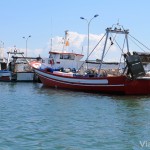 Barcos de pesca amarrados en La Ràpita