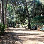 El parque presenta una extensa zona semiboscosa y jardines