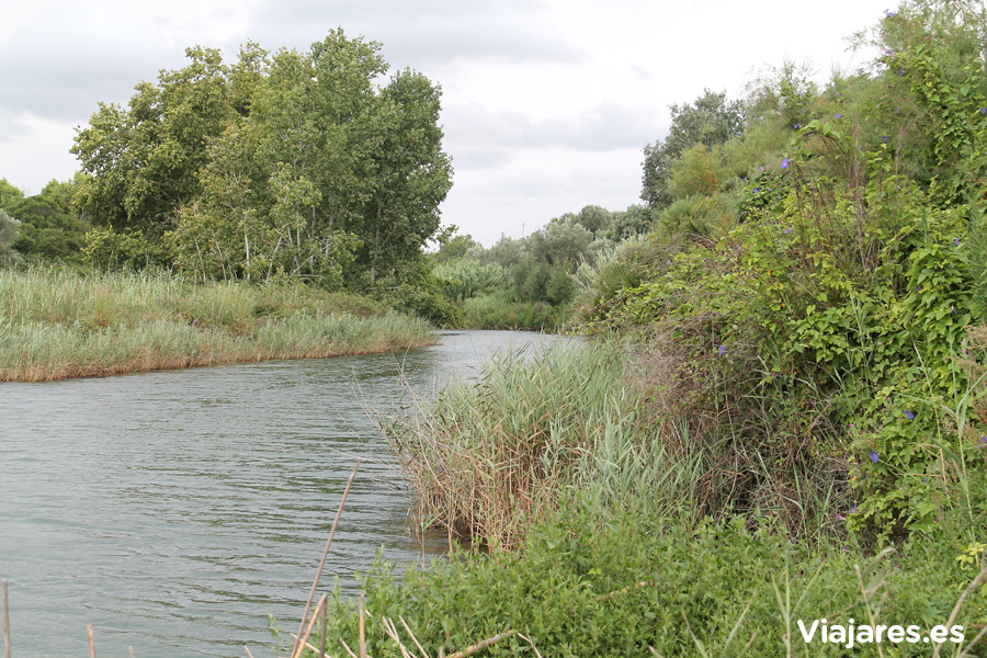El tramo final del río Sénia es el refugio de muchas especies animales
