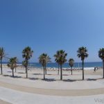 Playa y palmeras en la fachada marítima de la ciudad