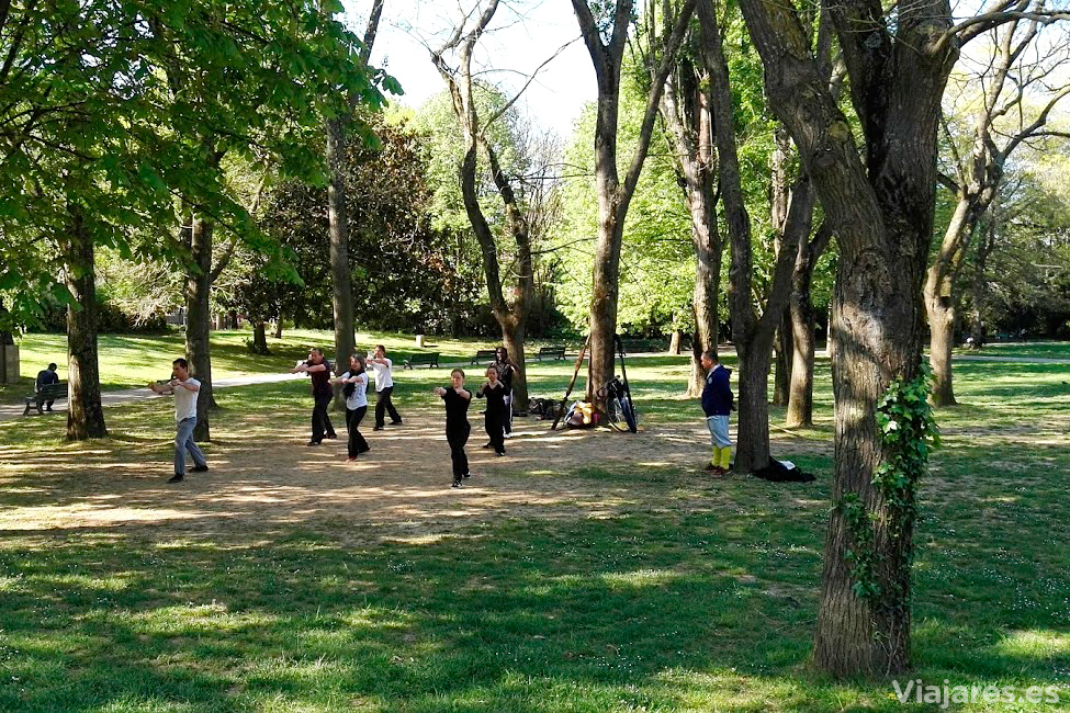 Practicando artes marciales en el parque
