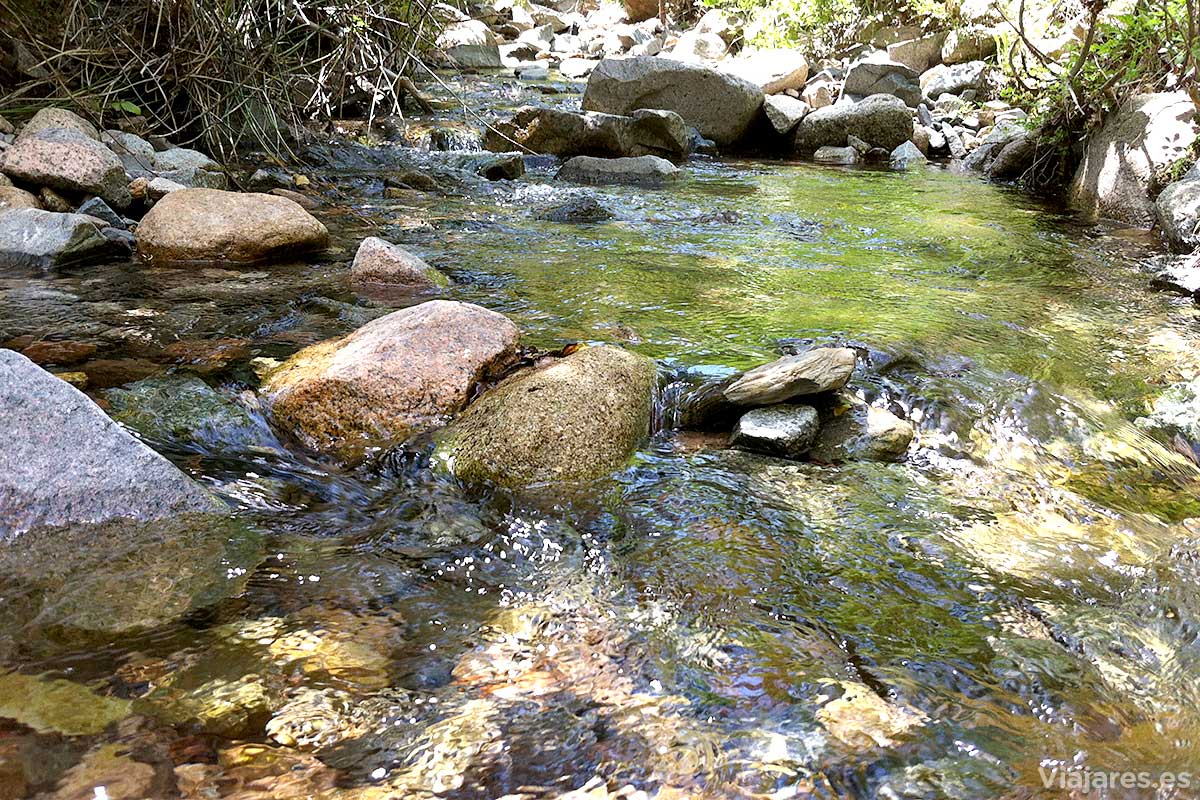 Riachuelo de aguas cristalinas en Vall de Castellfollit