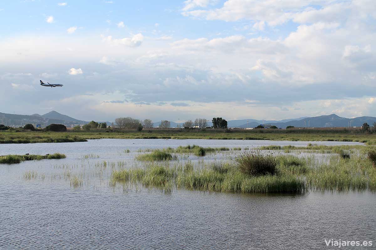 Humedales en el Delta del Llobregat